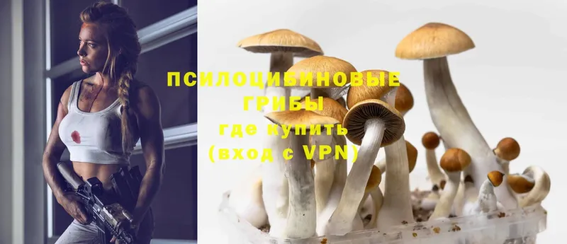 Псилоцибиновые грибы MAGIC MUSHROOMS  дарк нет клад  Старая Русса 